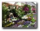 Flowermarket